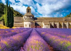 Abbaye Notre-Dame de Sénanque