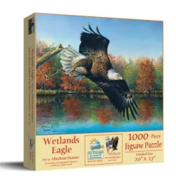 Abraham Hunter - Wetlands Eagle
