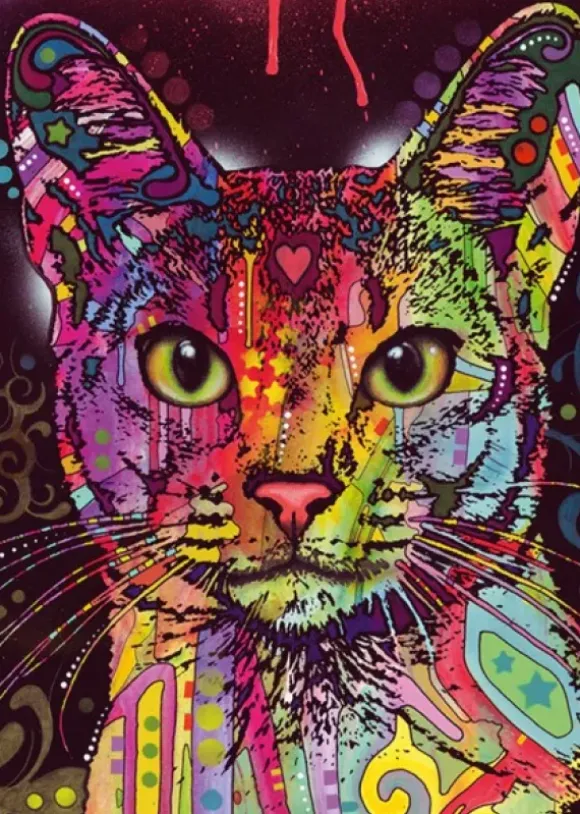 Abyssinian