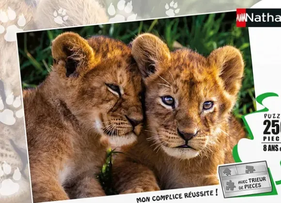 Adorable Lion Babies
