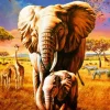 Adrian Chesterman - Elephant