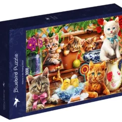 Adrian Chesterman - Kittens in the Potting Shed