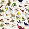 Affiche sur les Oiseaux
