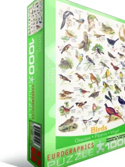 Affiche sur les Oiseaux