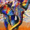 African Colours
