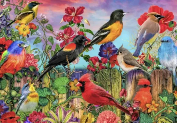 Aimee Stewart - Birds and Blooms Garden
