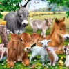 A la Ferme