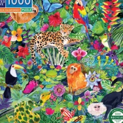 Amazon Rainforest