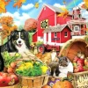 Amis de la Ferme
