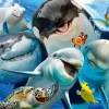 Amis Marins
