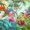André Sanchez - Birddiversity