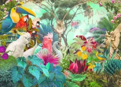 André Sanchez - Birddiversity