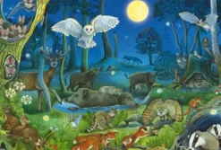 Animaux dans la Forêt Nocturne