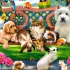 Animaux dans le Parc