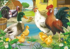 Animaux de la ferme : poule, coq, canard, poussins et dindons