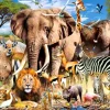 Animaux de la Savanne