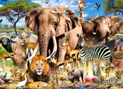 Animaux de la Savanne