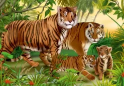 Animaux Sauvages - Tigres