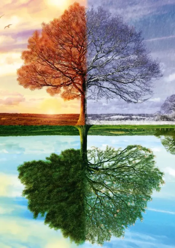 Arbre des 4 Saisons