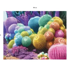 Arc-en-Ciel de Cactus