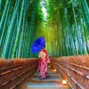Asian Woman in Bamboo Forest