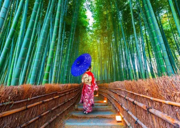 Asian Woman in Bamboo Forest