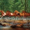 A Travers la Rivière