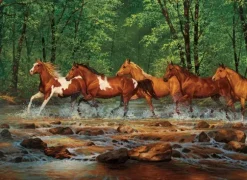A Travers la Rivière