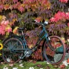 Automne