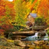 Automne Magique