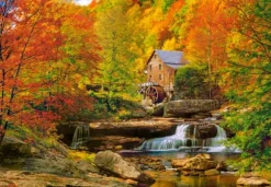 Automne Magique