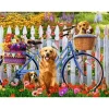 Aventure de Chiots