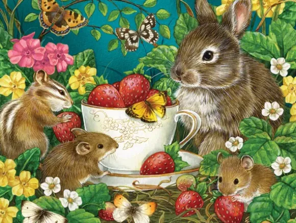 Baies Sucrées
