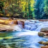 Belle Cascade dans la Forêt