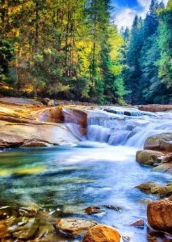 Belle Cascade dans la Forêt
