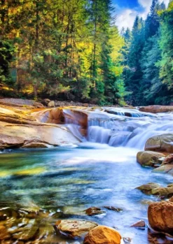 Belle Cascade dans la Forêt