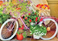 Bicycle with Flowers