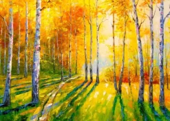 Birch Grove