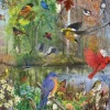 Birds of the Season