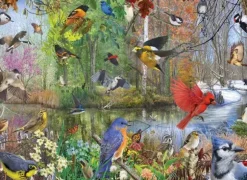 Birds of the Season