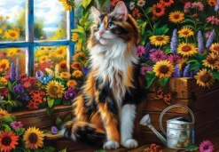 Blooming Cat Meditation