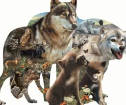 Bonnie, Rebecca and Karen Latham - Wolf Pack