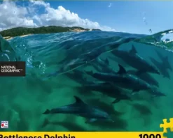 Bottlenose Dolphins