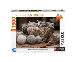 Boules de Poils et Pelotes de Laine