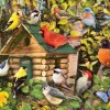 Cabane d'Oiseaux
