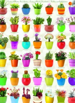 Cactus et Plantes Succulentes