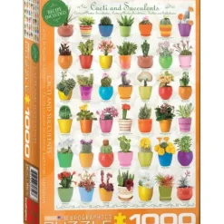 Cactus et Plantes Succulentes