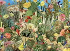 Cactus Garden