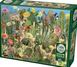 Cactus Garden