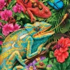 Caméléon du Karma